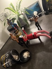 ELF on The Shelf Benchpress -